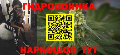 дурь Дубна