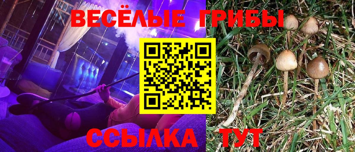 Галлюциногенные грибы Psilocybe  Псилоцибиновые грибы Psilocybine cubensis  Южноуральск  Вход с VPN 